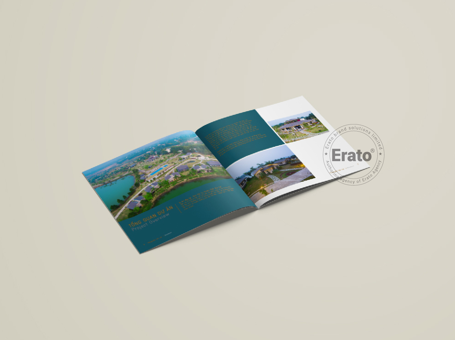 img dự án